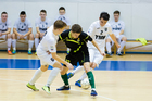 Первенство России по мини-футболу среди юношеских команд